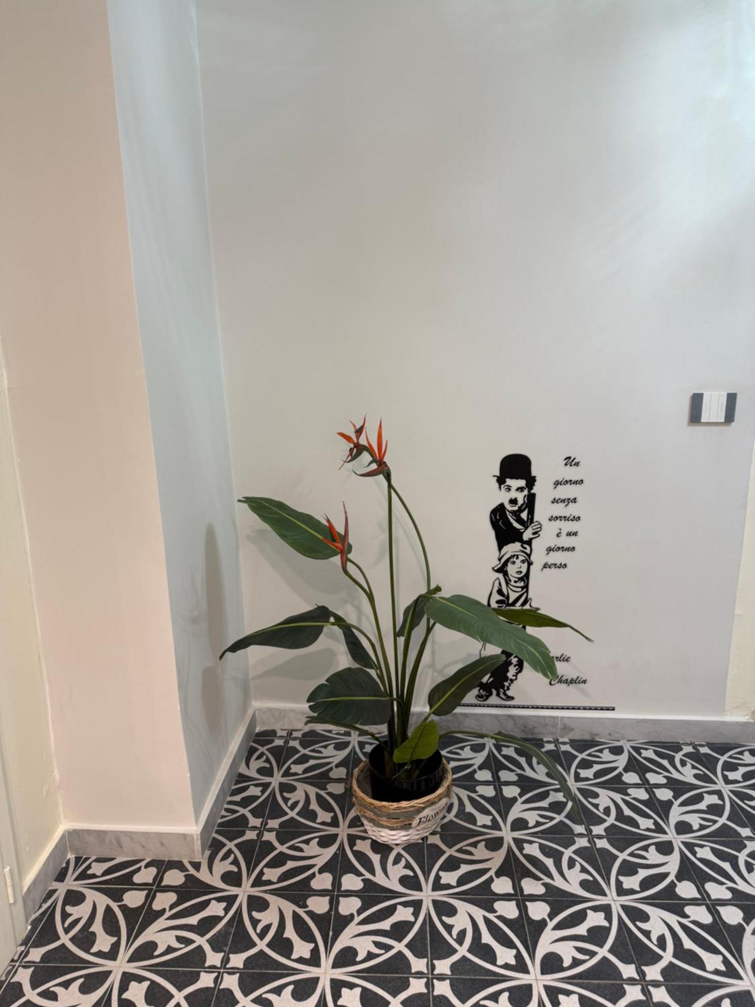 הוילה פלרמו Elisir House מראה חיצוני תמונה